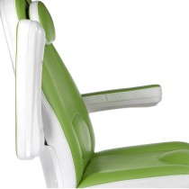 Elektryczny fotel kosmetyczny Mazaro BR-6672C Ziel