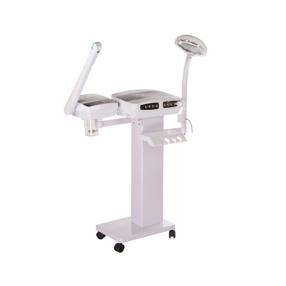 Kombajn kosmetyczny 10 funkcji BR-9900F