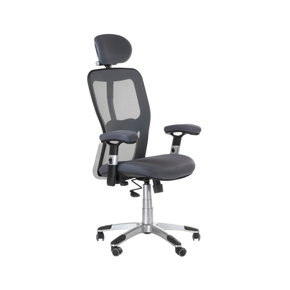 Fotel ergonomiczny CorpoComfort BX-4147 Szary