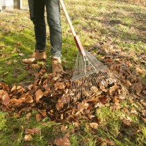 Grabie do trawy CAT K-Series Steel 26" - szerokość 66cm 