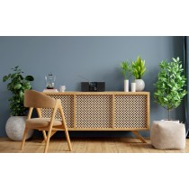 JVC Radio internetowe RA-E981B 